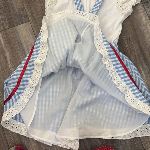 Dorthy Wizard of OZ dress & Vintage Ruby Slippers - Picture 13 of 13